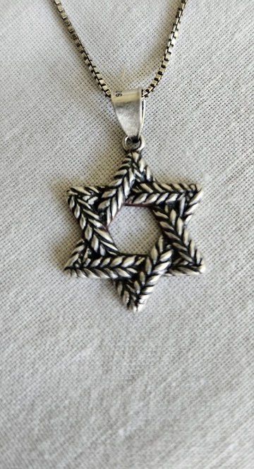 Oxidized sterling Star of David of braided laurel leaves with darkened texture, on a box chain