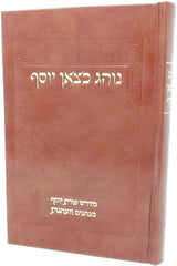 Noheg Katzon Yosef - נוהג כצאן יוסף