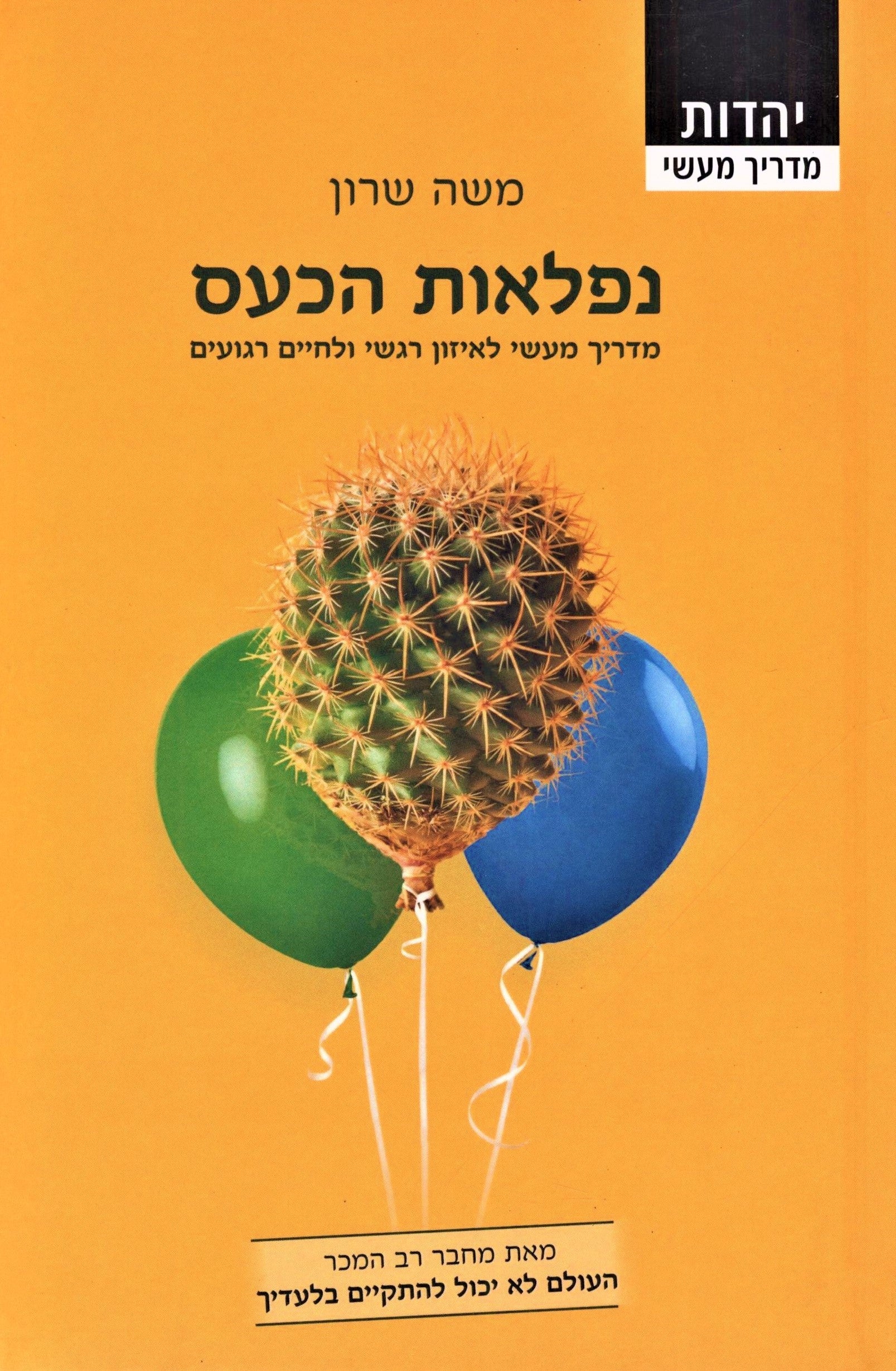 Niflaos HaKaas Book