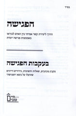 Hapegishah Hebrew Book