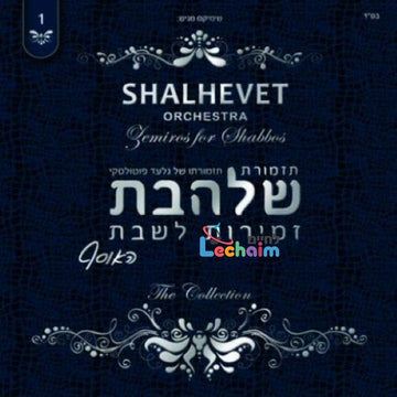 Zemiros L'Shabbos 1 - זמירות לשבת 1