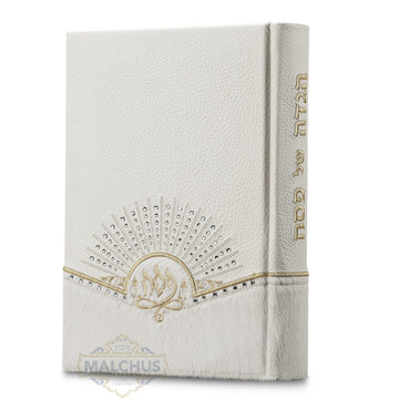Custom haggadah cover design 826