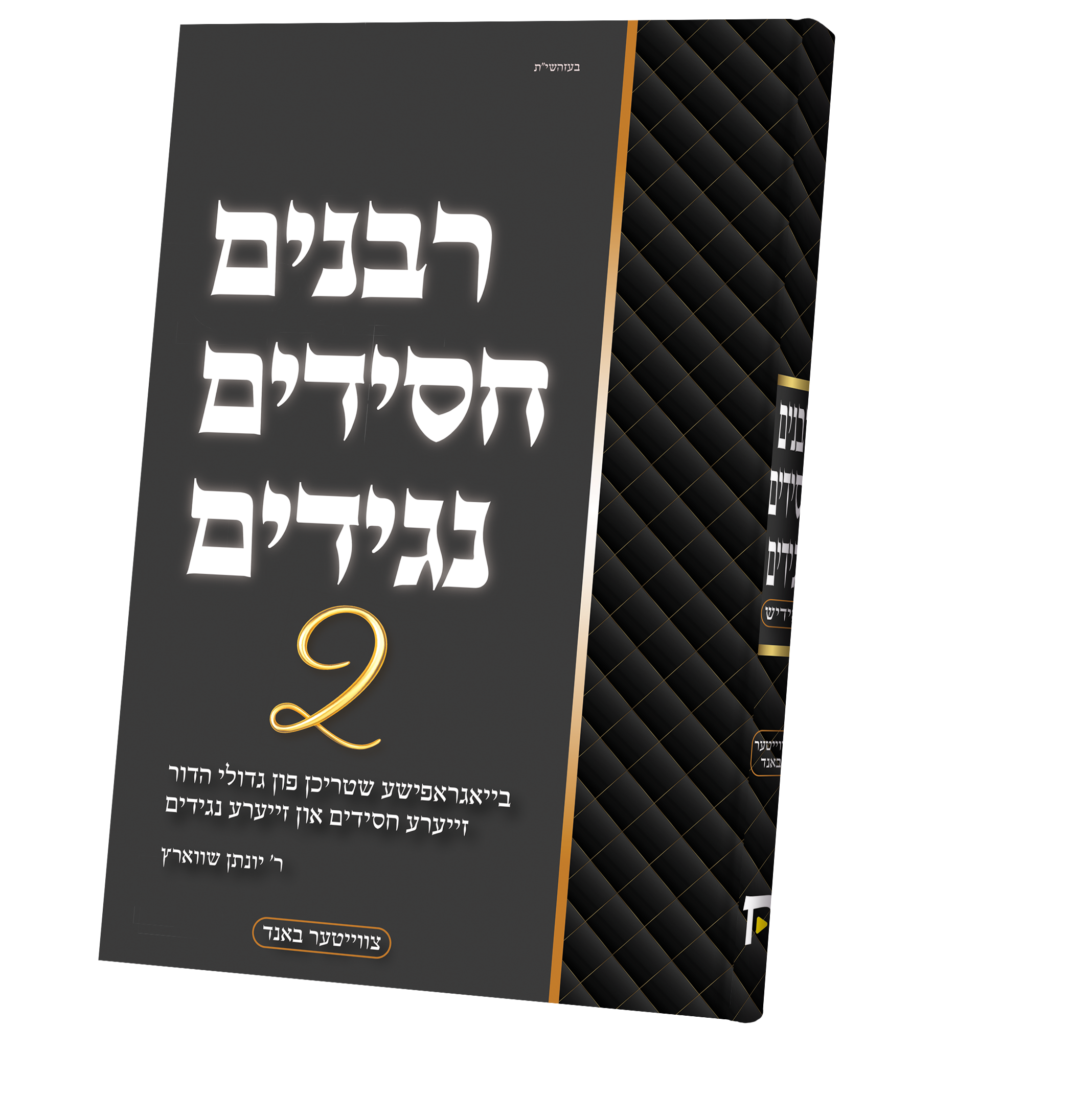 Rabbanim Chassidim Naggidim #2 | Judaica Square Lakewood