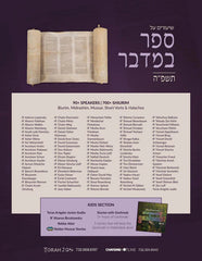 Torah 2 Go: Shiurim on Sefer Bamidbar (USB)