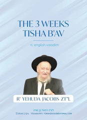 Torah 2 Go: R' Yehuda Jacobs - The 3 Weeks / Tisha B'Av (USB)