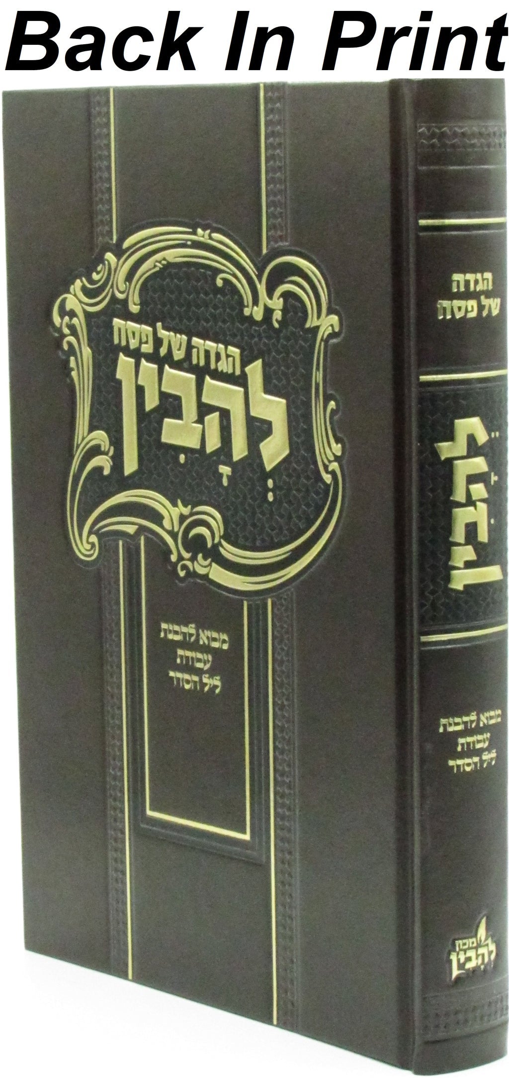 Haggadah Shel Pesach L'Havin - הגדה של פסח להבין