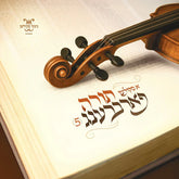 A Skulen Torah Farbreng 5 (USB)