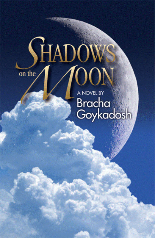 Shadows On The Moon