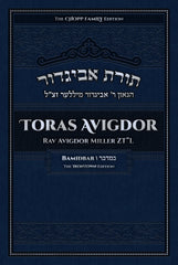 Toras Avigdor on Bamidbar - Volume 4