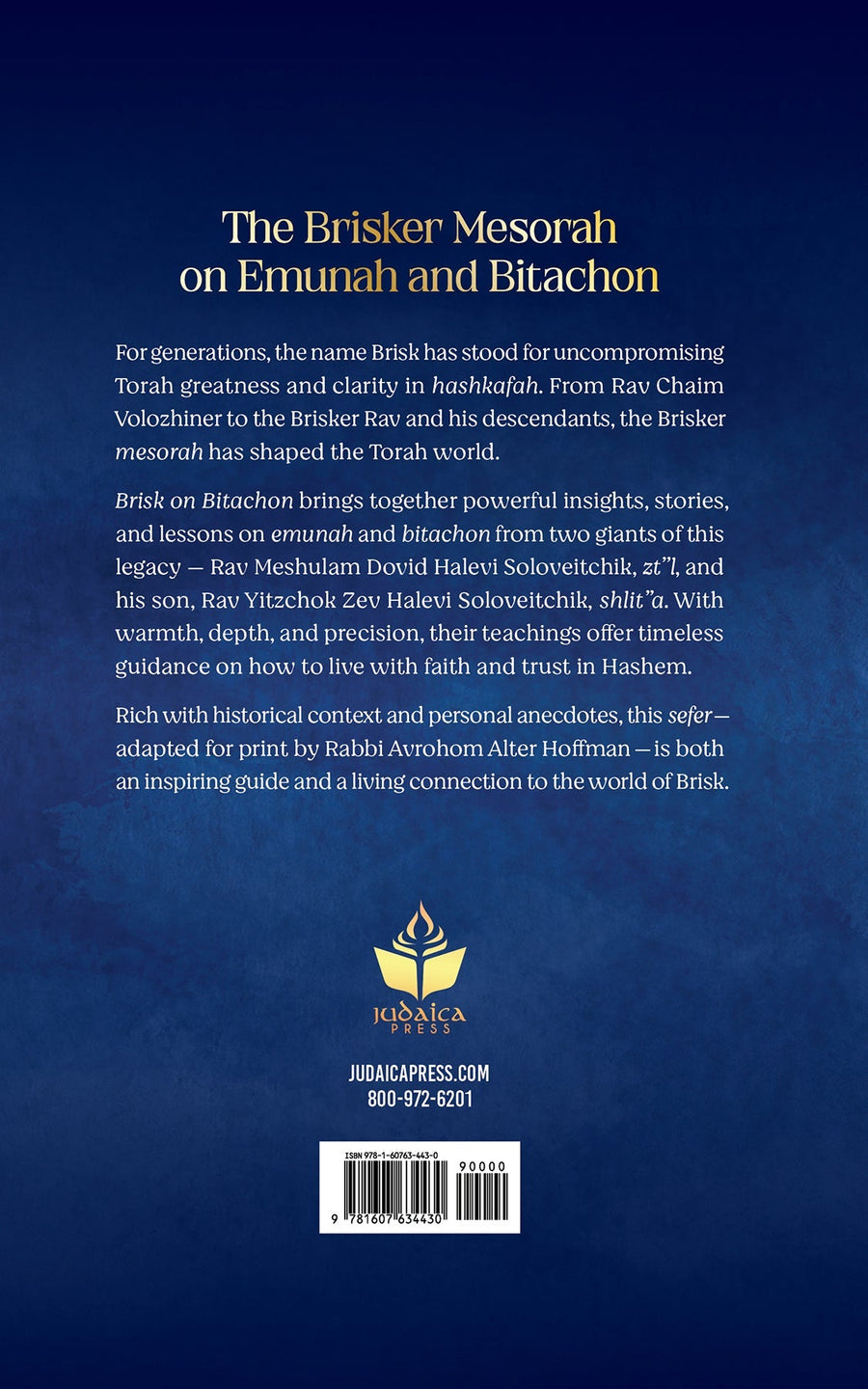 Brisk on Bitachon | Judaica Square