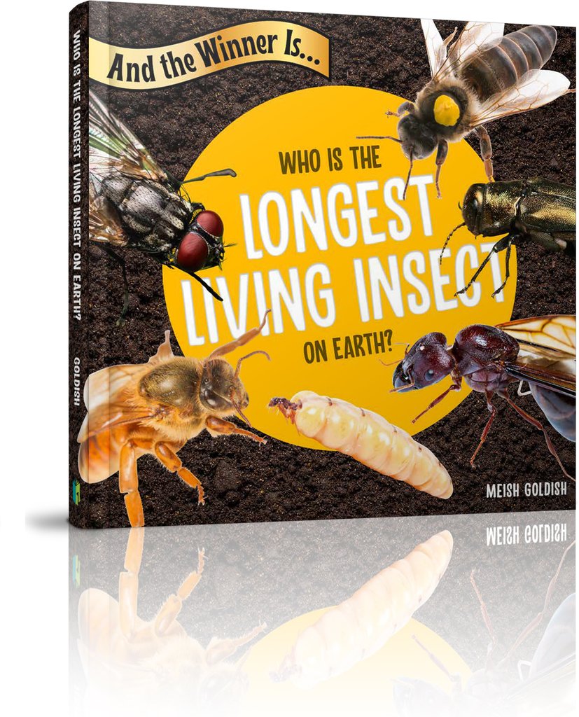 Who Is the Longest Living Insect on Eart