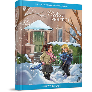 Picture Perfect Vol. 5 front cover — Sukey Gross, hardcover, published by Menucha Publishers