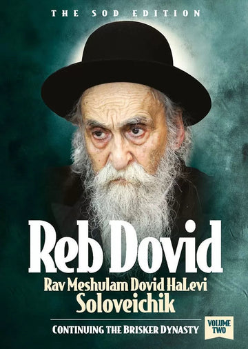 Front cover of Reb Dovid - Volume 2