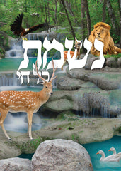 Nishmas Kol Chai Card: Laminated - 2 Fold