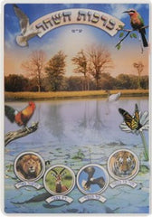 Birchat Hashachar: Laminated - EM