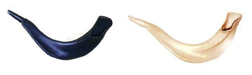 Shofars For Kids: Plastic - Assorted Colors by Alef To Tav