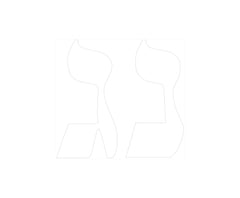 Dreidel Balloons & Stickers