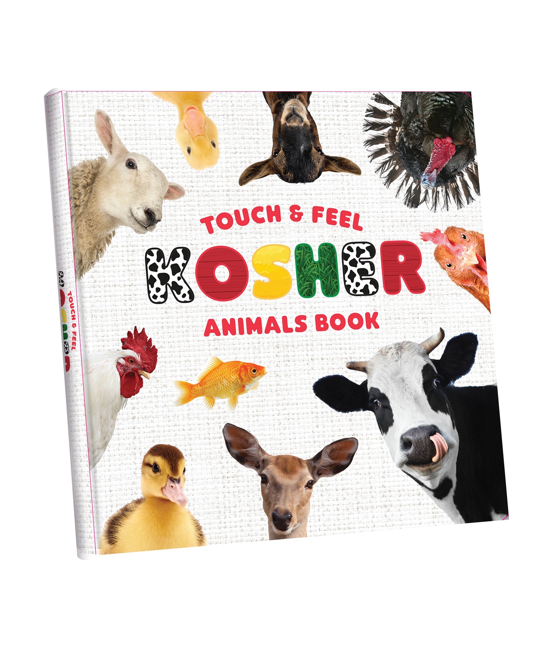 My First Touch and Feel Animal Book | Judaica Square Lakewood