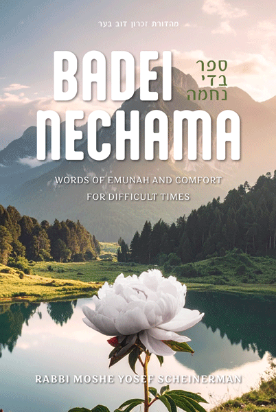 Badei Nechama — book cover | Judaica Square