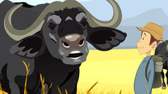 Wonders of Hashem 1 - Safari Adventure (DVD)