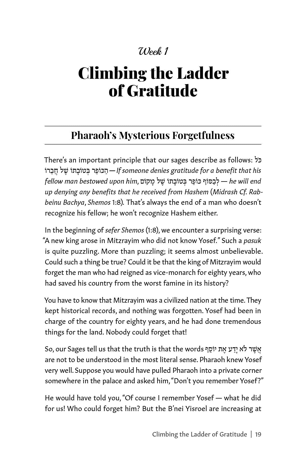 Growing with Rabbi Miller | Judaica Square