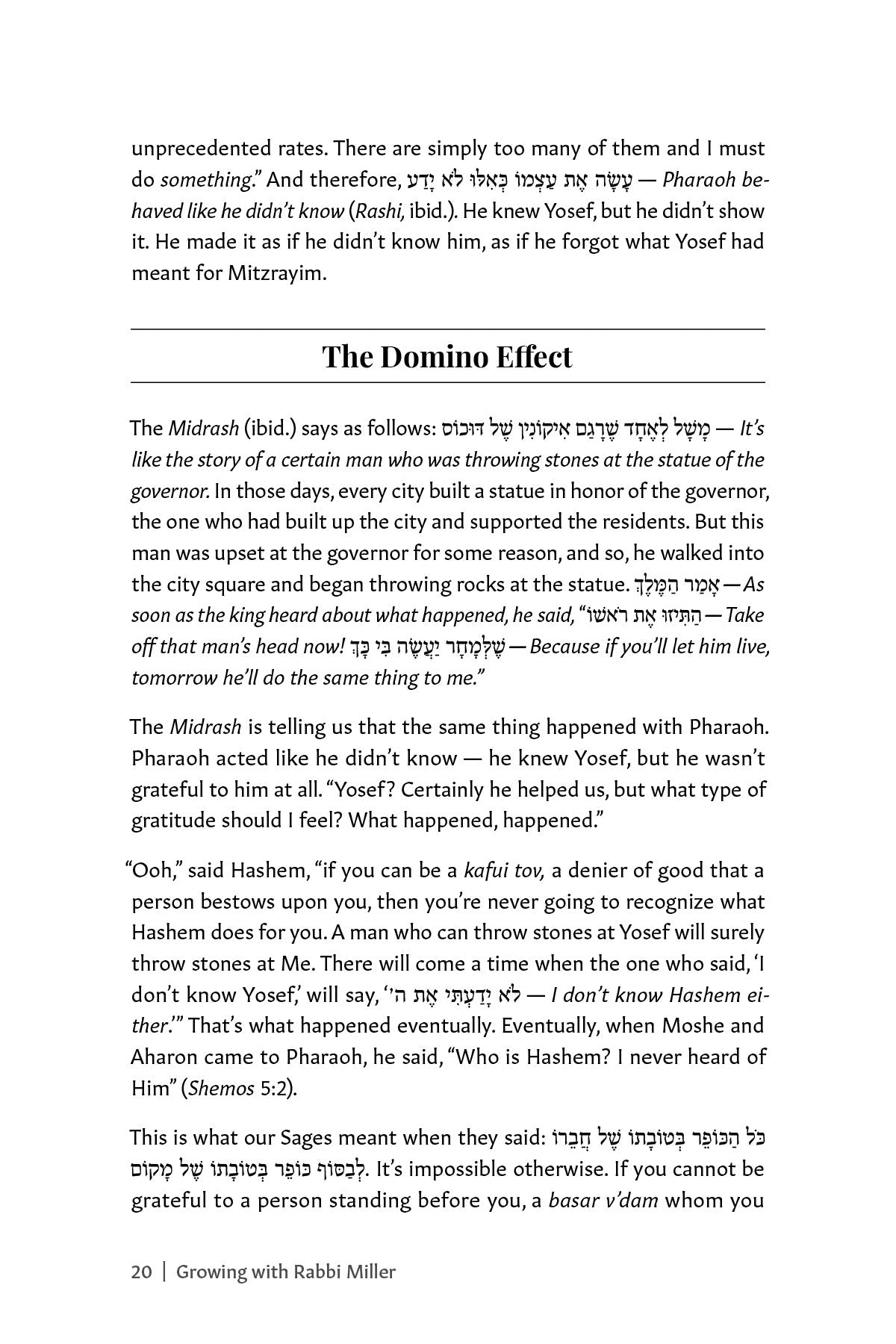 Growing with Rabbi Miller | Judaica Square