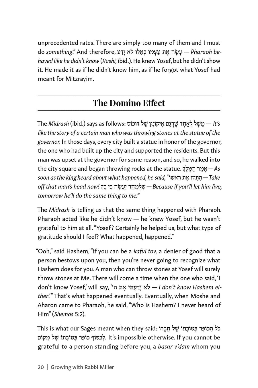 Growing with Rabbi Miller | Judaica Square