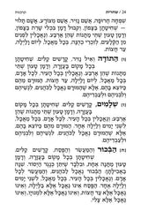 Artscroll Hebrew Weekday Shacharis Siddur Tiferes Levi Yitzchok with English Instructions: Deluxe Flex - Ashkenaz - Pocket Size