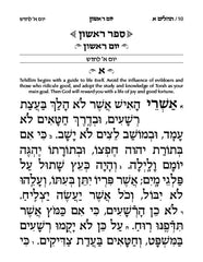 Artscroll Tehillim/Psalms with English Introductions