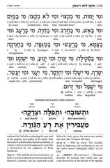 Artscroll Interlinear Machzor: 2 Volume Set (Rosh Hashanah & Yom Kippur) - Hardcover