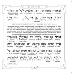 Schottenstein Interlinear Zemiros Shabbos: Faux Leather with Lucite Case (Set of 6)