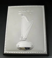 Tehillim Case: Leather & Sterling Silver