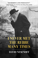 I Never Met The Rebbe Many Times