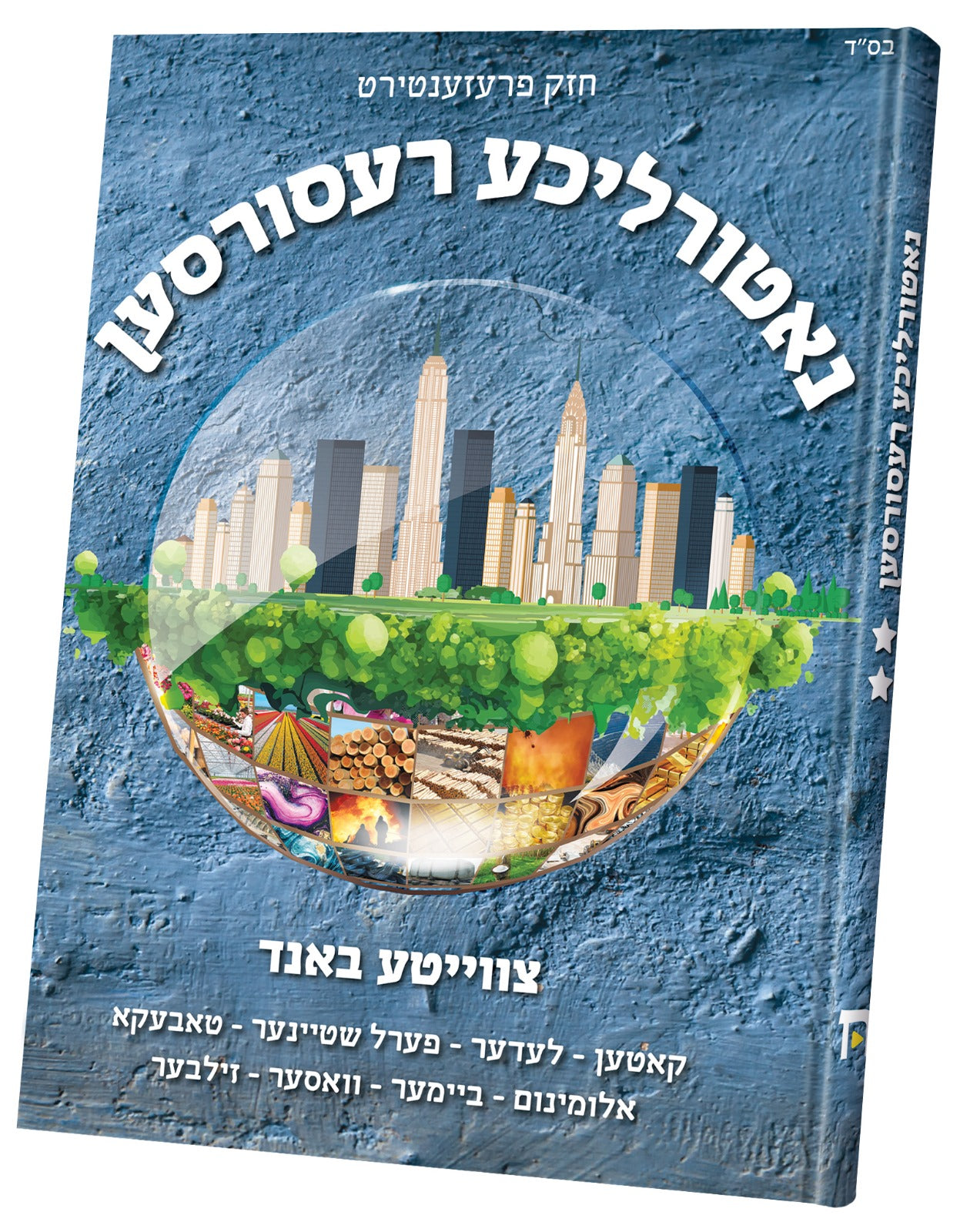 Natailicha Resourcen Vol. 2 | Judaica Square Lakewood