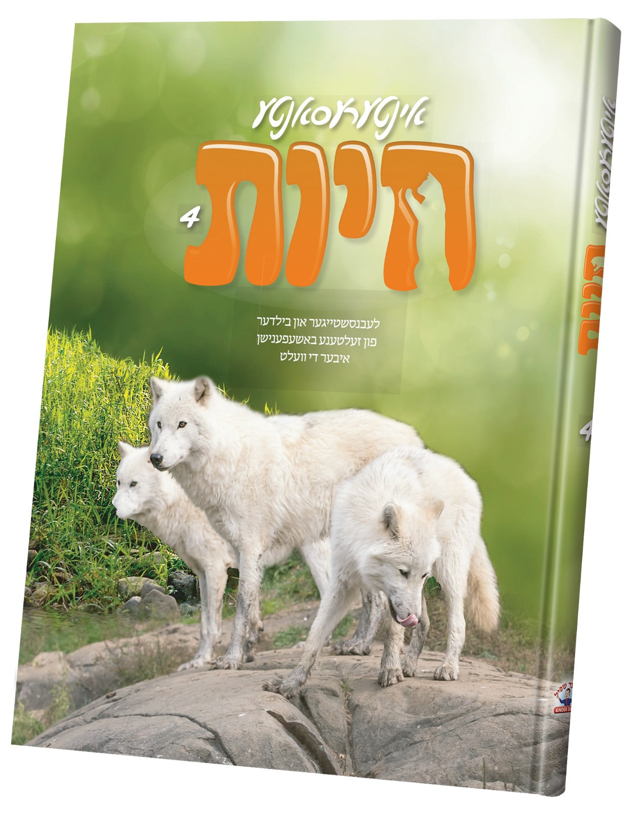 interesante chayos #4 | Judaica Square Lakewood