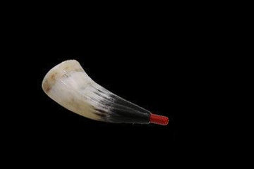 Real Shofar with Whistle For Kids - Rosh Hashanah