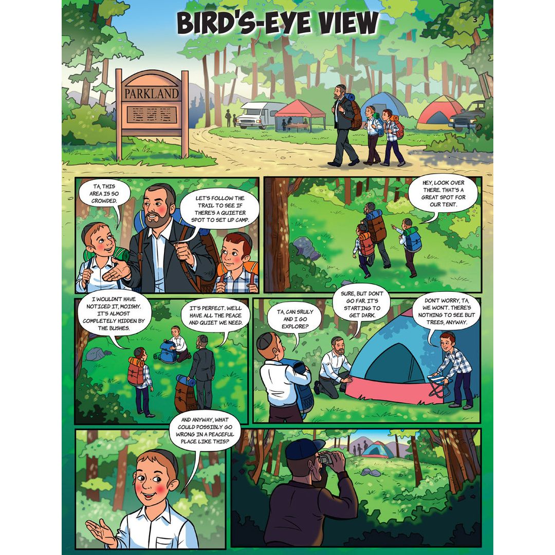 Bird's-Eye View