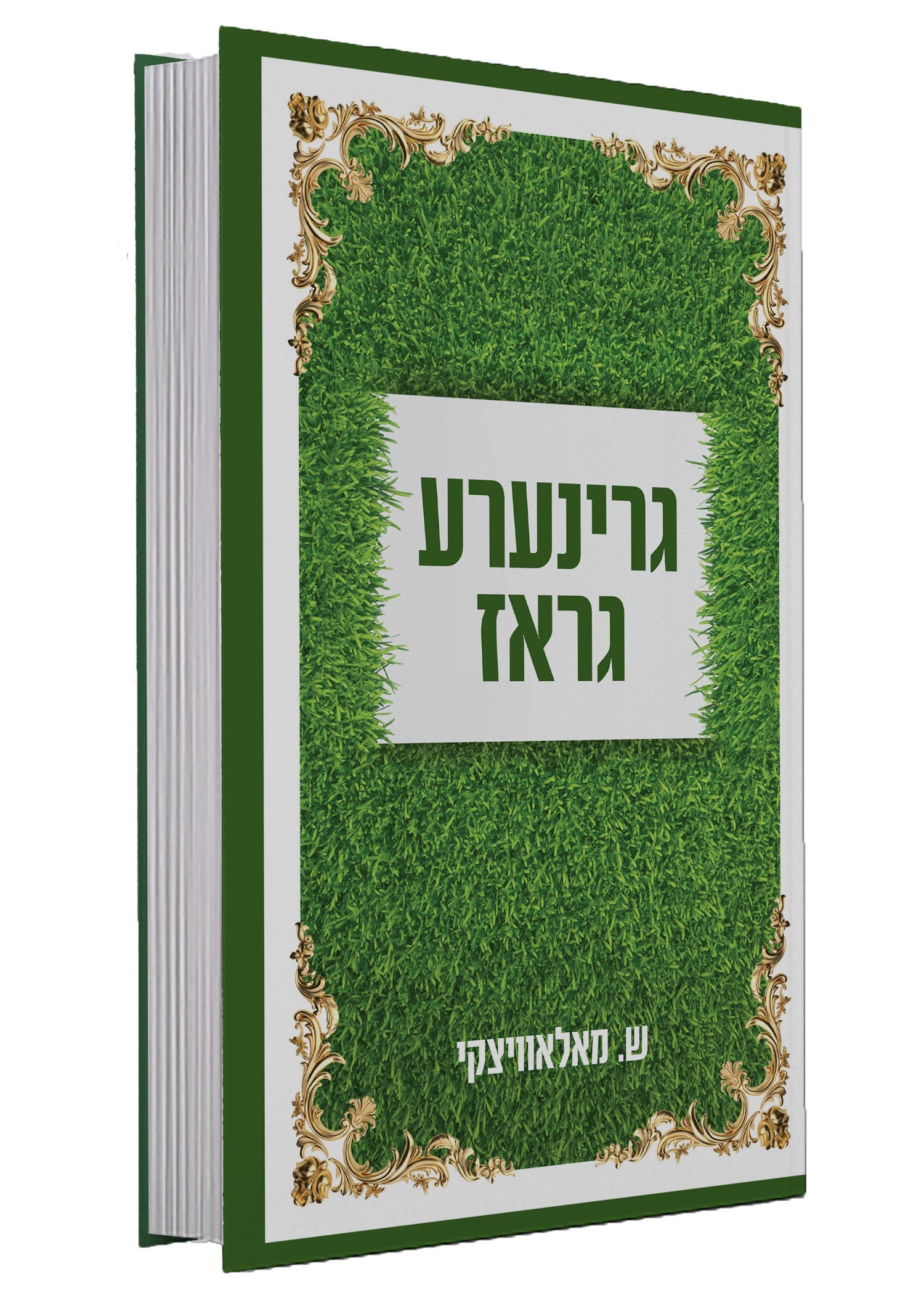 Green Grass | Judaica Square Lakewood