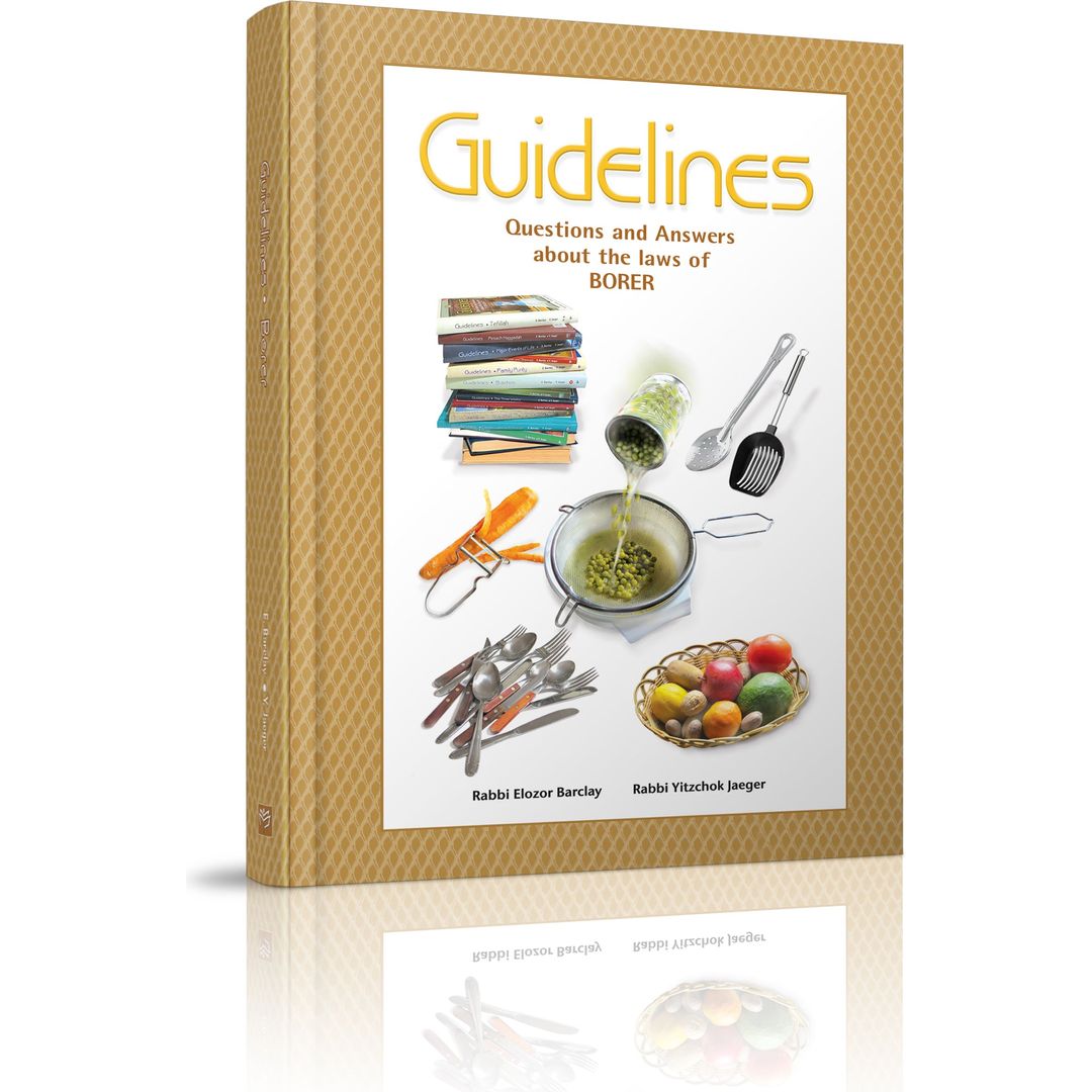 Guidelines to Borer