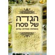 הגדה של פסח באותיות גדולות H/C 8"x11.5" (BK-HSPOGXL) E"M