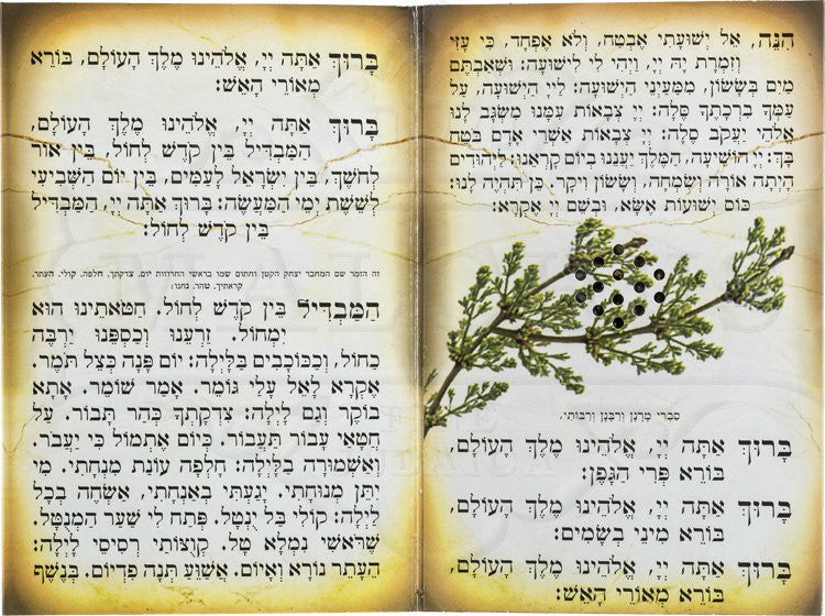 Seder Havdalah Three Fold #188 - Image 2