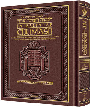 Schottenstein Ed Interlinear Chumash Complete in 1 Volume - Maroon Leather — Leather | Judaica Square Lakewood