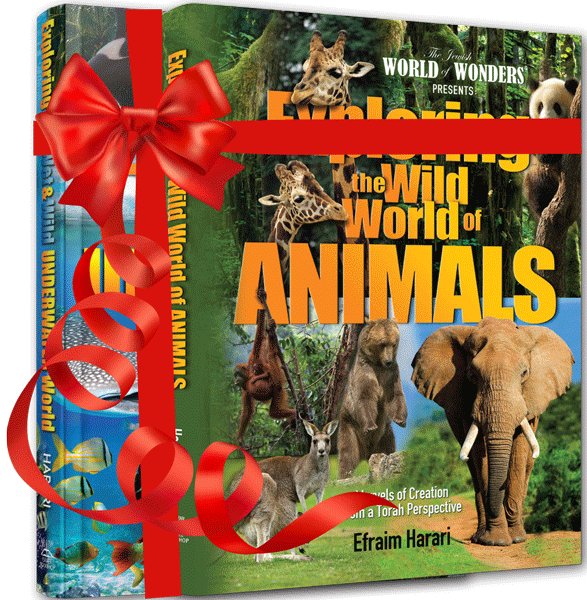 Exploring the Wild World Gift Pak — children's book hardcover cover | Judaica Square Lakewood