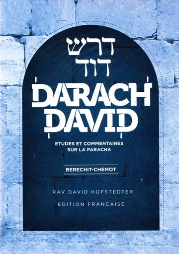 Front cover of Dorash Dovid: 2 Volume Slipcased Set (French): Insights and Essays on the Torah by Rabbi Dovid Hofstedter