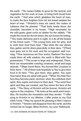 Rav Schwab on Selections of Tehillim