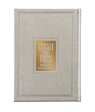 Simchonim Hebrew English Haggadah in silver