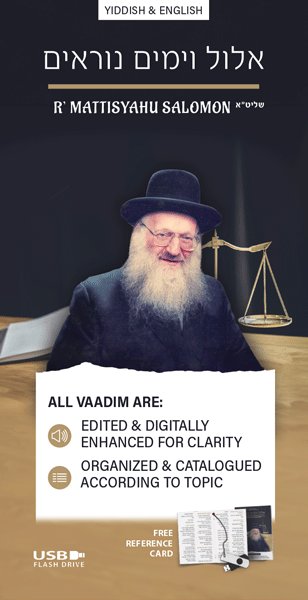 USB Audio cover art for Rav Mattisyahu Salomon Vaadim - Elul and Yamim Nora'im - USB by Rabbi Mattisyahu Salomon