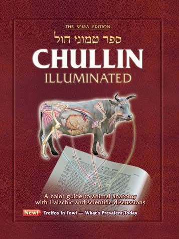 Chullin Illuminated, ENGLISH Edition — front cover hardcover | Judaica Square Lakewood