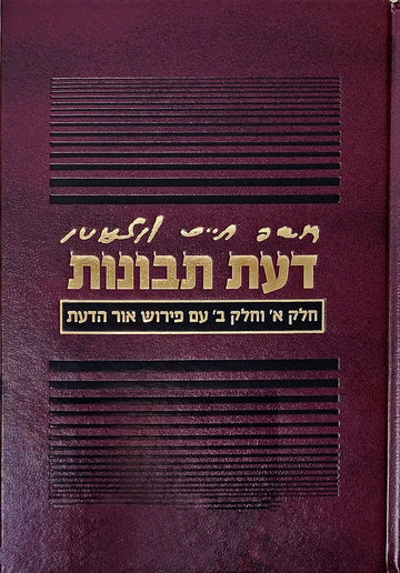 Cover of Da'as Tevunos, Ohr Hada'as by Rabbi Binyamin Efrati, hardcover edition
