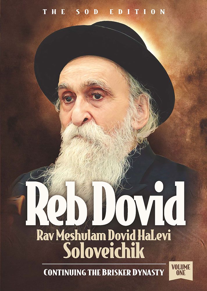 Reb Dovid, Volume 1 — cover | Judaica Square Lakewood